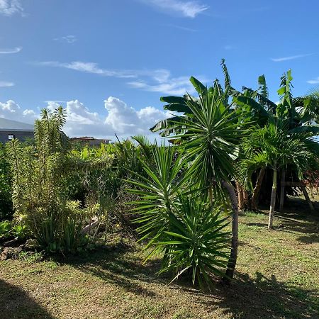 Gîte face à la mer des caraibes Sainte-Rose Esterno foto