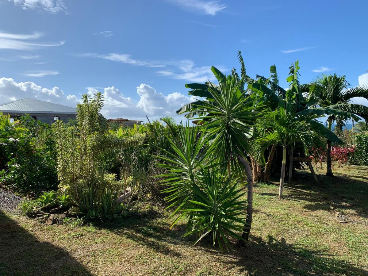 Gîte face à la mer des caraibes Sainte-Rose Esterno foto