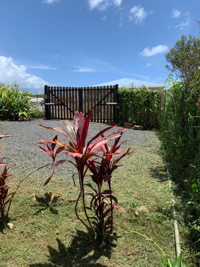 Gîte face à la mer des caraibes Sainte-Rose Esterno foto